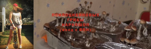 молекула духа Армянск