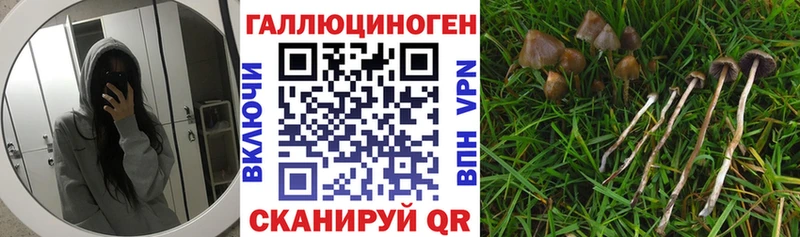 Галлюциногенные грибы MAGIC MUSHROOMS  Судак 